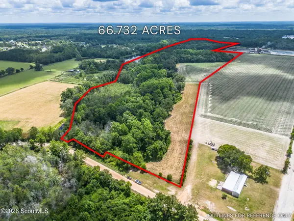 0 Nesbitt Road, Odum, GA 31555