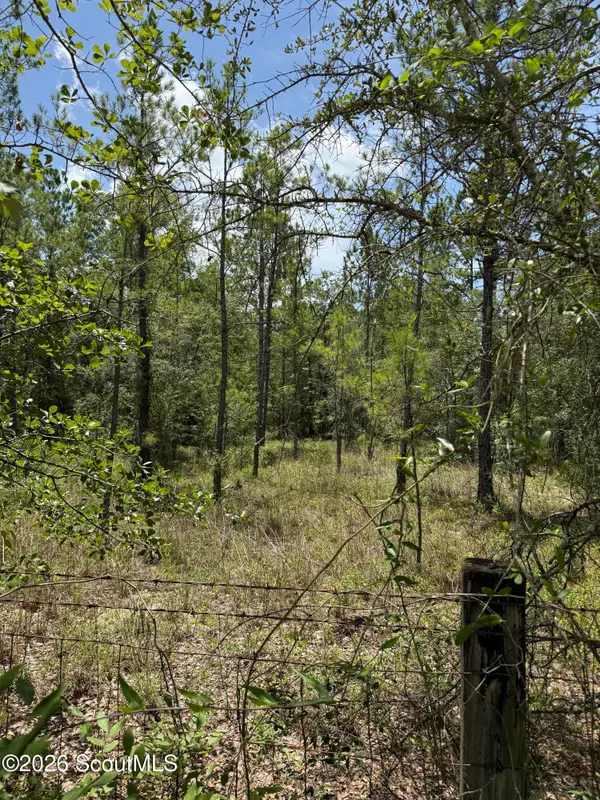 251 Heather Road, Folkston, GA 31537