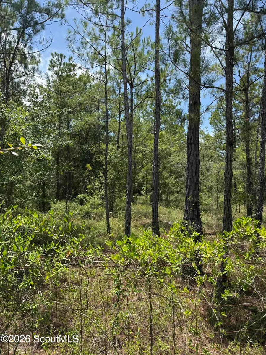251 Heather Road, Folkston, GA 31537 - #3