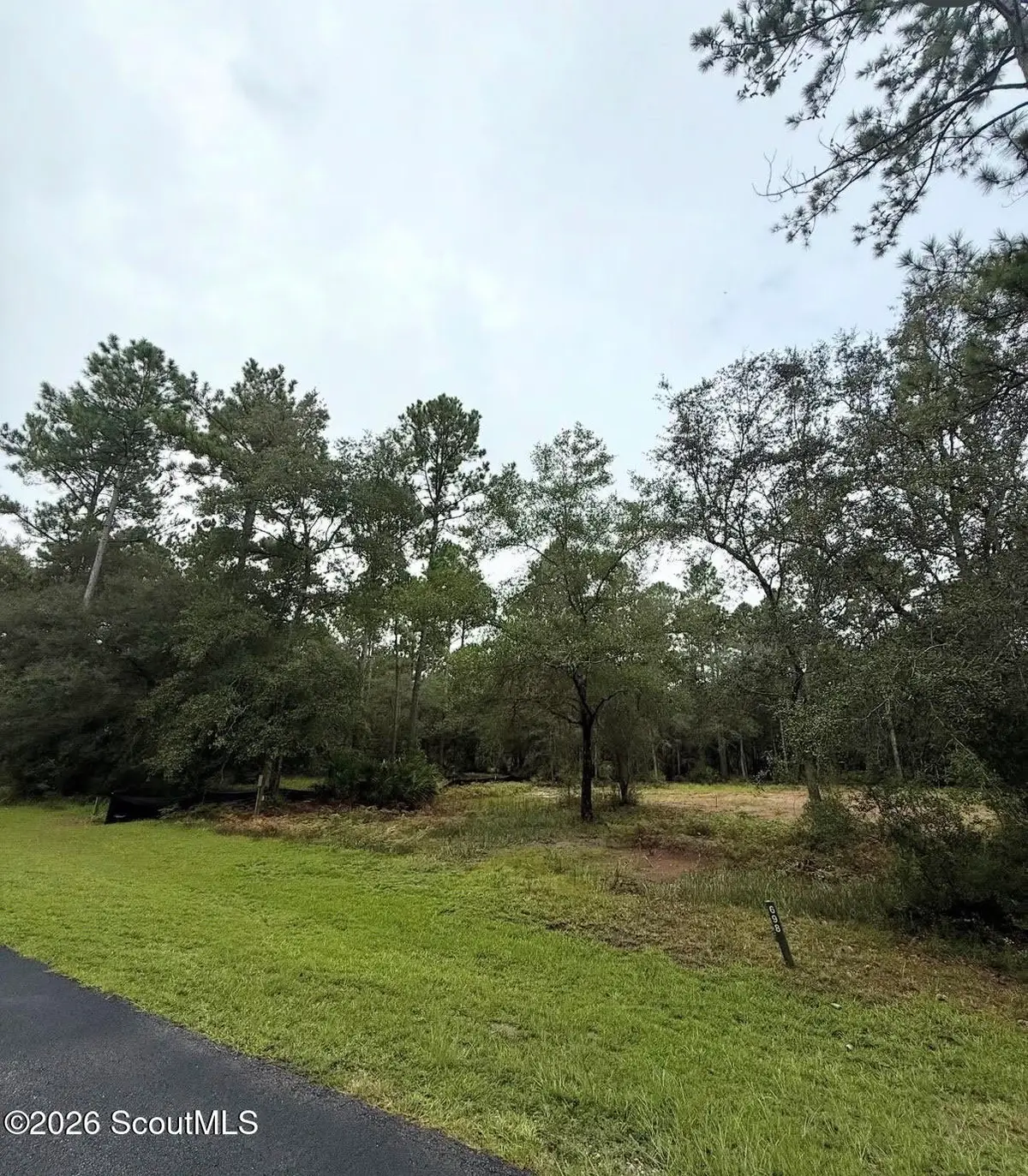 1017 NE Village Green Dr #698, Townsend, GA 31331 - #1