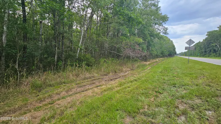 0 17 Highway, Townsend, GA 31331 - #3
