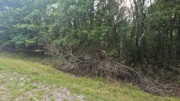 00 17 Highway, Townsend, GA 31331