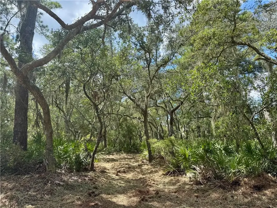 10.06 Acres On Julienton Road Ne, Townsend, GA 31331 - #3