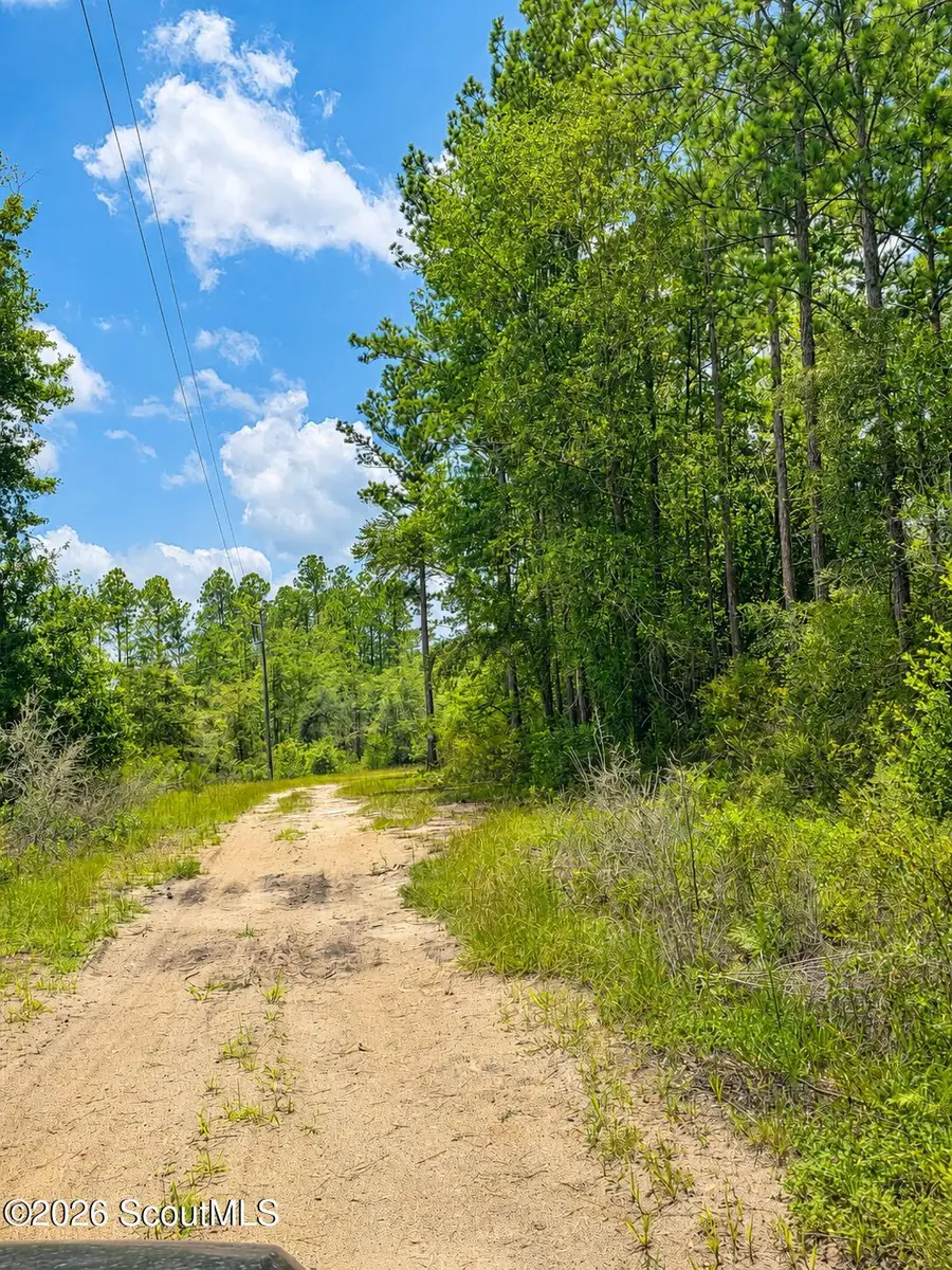 61 Drury Lane, Hortense, GA 31543 - #3