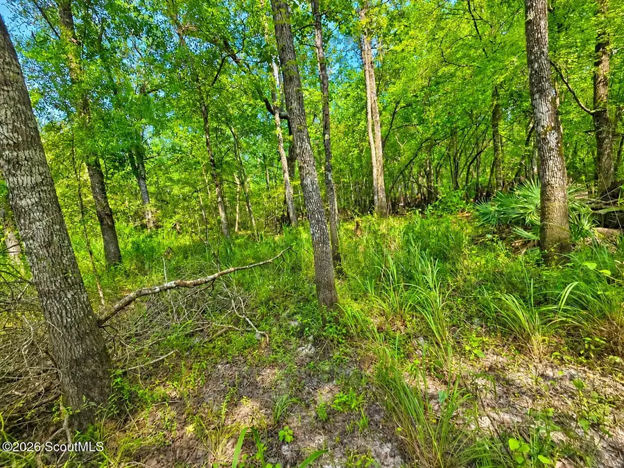 00 Herrin Lake, Nahunta, GA 31553 - #2