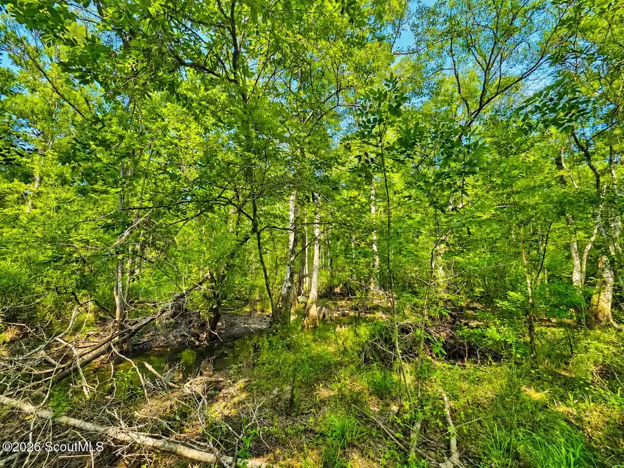 00 Herrin Lake, Nahunta, GA 31553 - #3