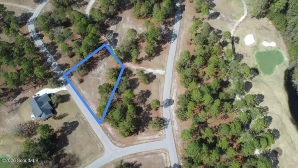 154 Sapelo Park Drive Ne #154, Shellman Bluff, GA 31331