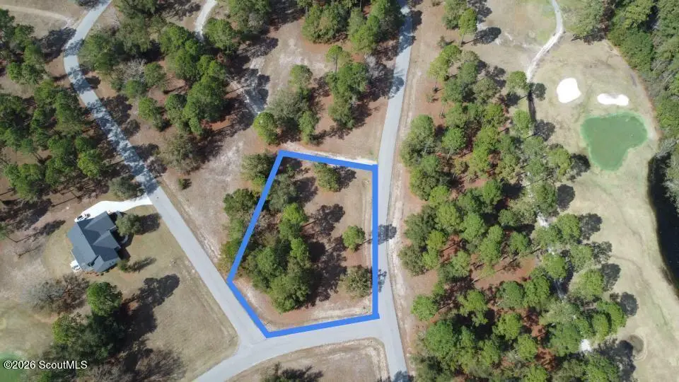 153 Sapelo Park Drive Ne #153, Shellman Bluff, GA 31331 - #1