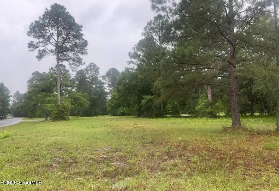 153 Sapelo Park Drive Ne #153, Shellman Bluff, GA 31331 - #3