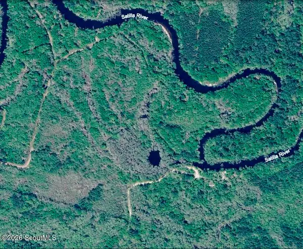 75+/- Acres Lewis Landing, Nahunta, GA 31553