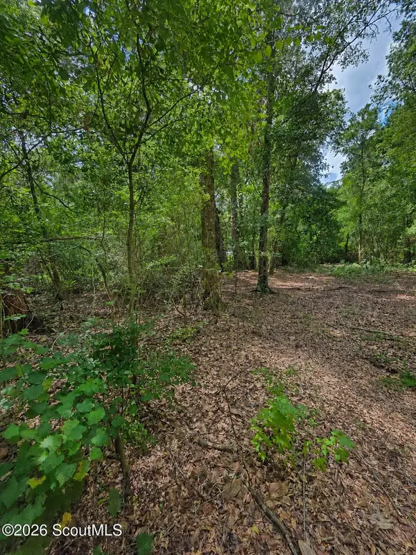 00 Second Avenue, Waynesville, GA 31566