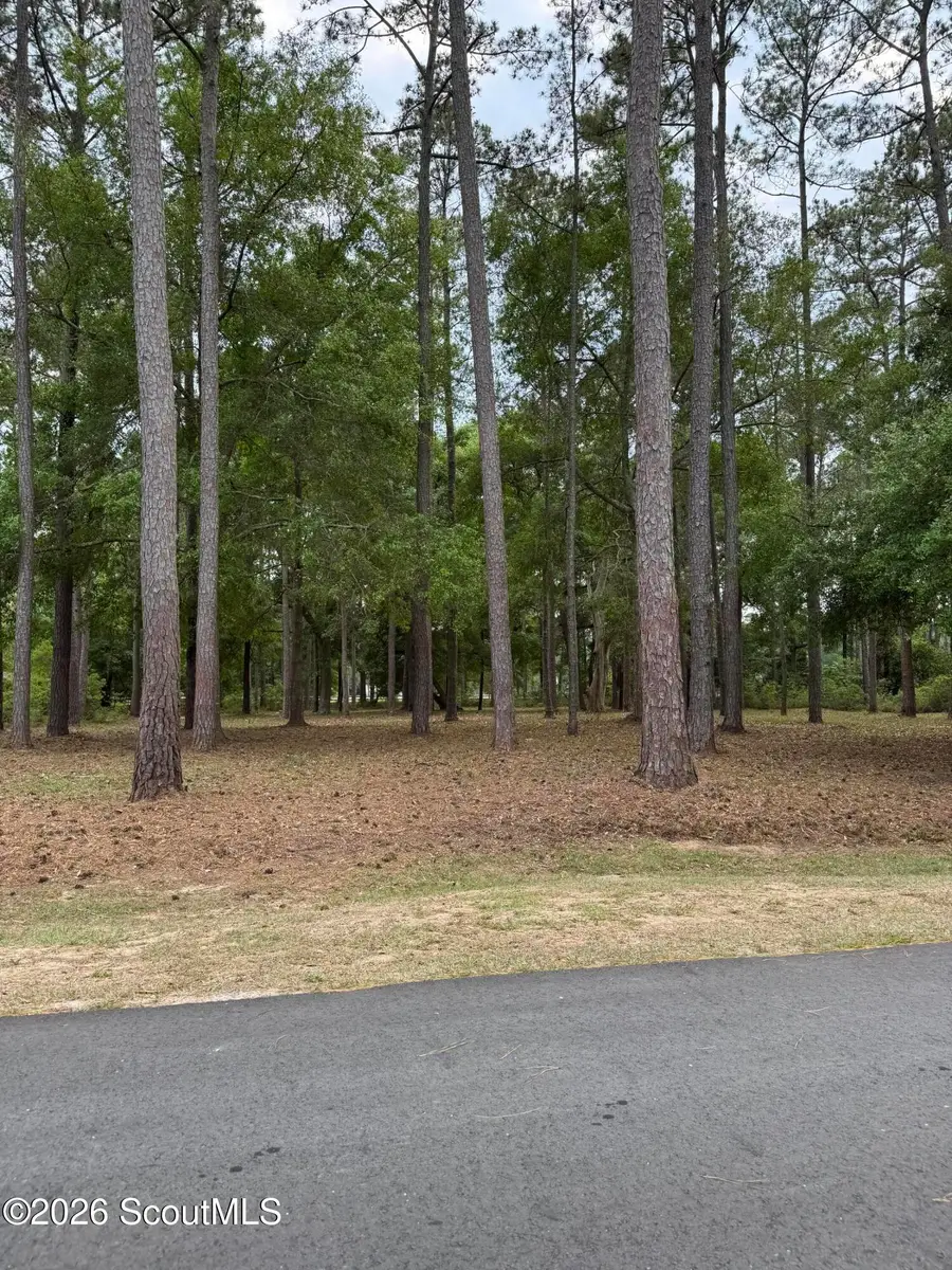 0 Fair Hope Drive Ne #72, Townsend, GA 31331 - #3