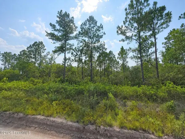 00 Picketts Mill Trail, Waynesville, GA 31566