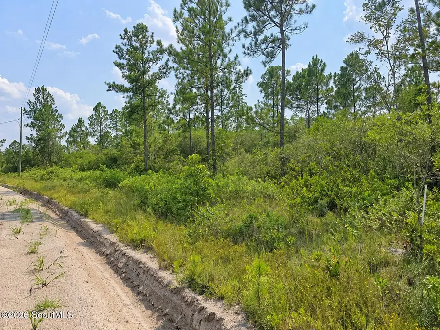 00 Picketts Mill Trail, Waynesville, GA 31566 - #2