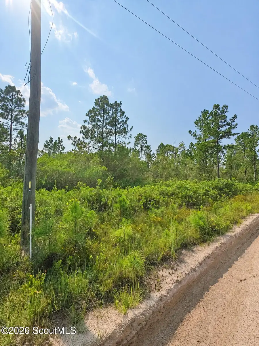 00 Picketts Mill Trail, Waynesville, GA 31566 - #3