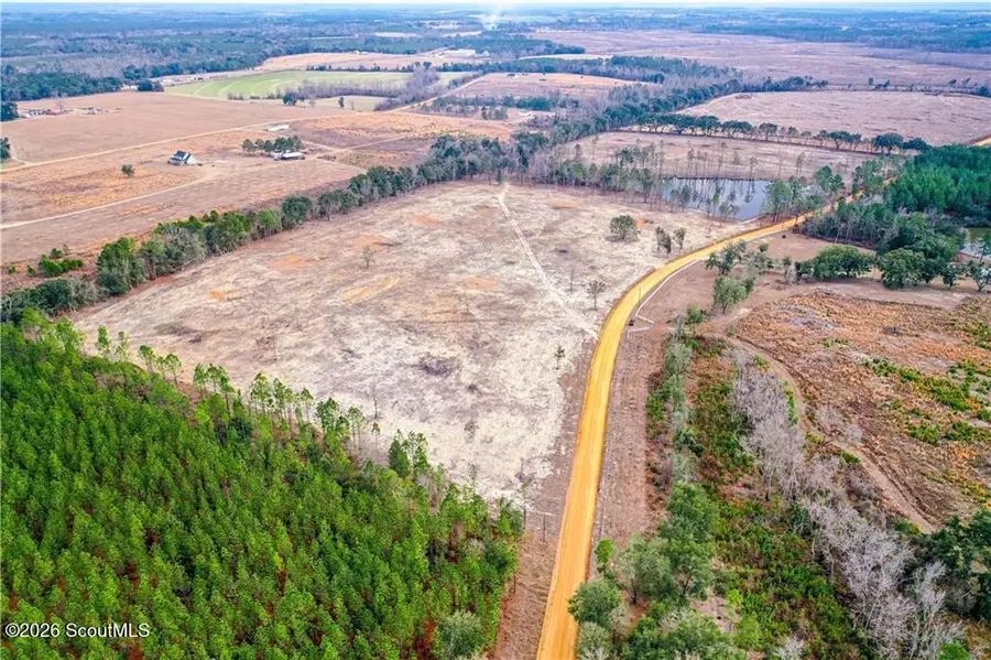 00 Durham Mosley Road, Uvalda, GA 30473 - #3
