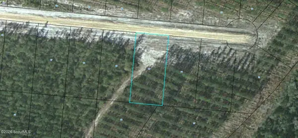 Lot 70 Satilla Plantation #70, Waynesville, GA 31566