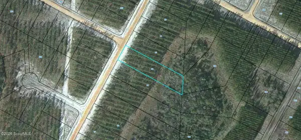 Lot 92 Satilla Plantation #92, Waynesville, GA 31566