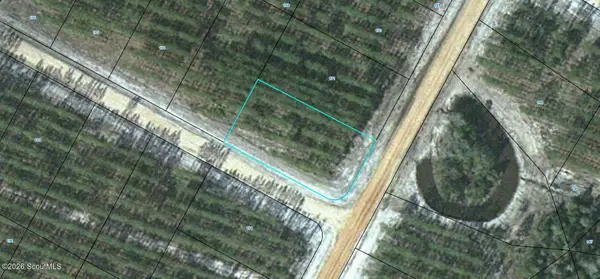 Lot 172 Satilla Plantation #172, Waynesville, GA 31566