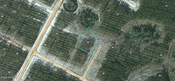 Lot 133 Satilla Plantation #133, Waynesville, GA 31566
