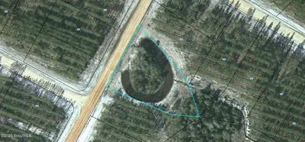Lot 143 Satilla Plantation #143, Waynesville, GA 31566