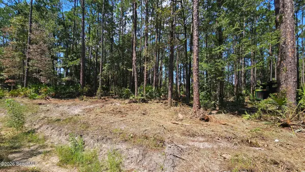 323 Baker Creek Road, Nahunta, GA 31553