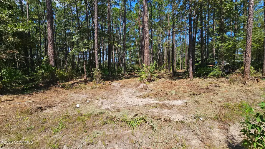 323 Baker Creek Road, Nahunta, GA 31553 - #3