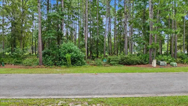 Lot 38 Palmetto Wynd #38, Waverly, GA 31565