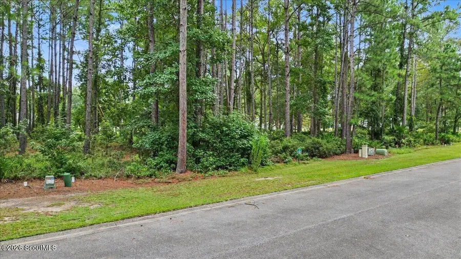 Lot 38 Palmetto Wynd #38, Waverly, GA 31565 - #3