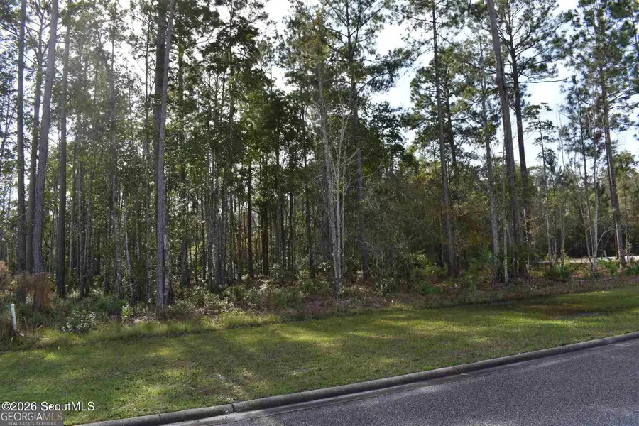 104 Baiter Court #413, Saint Marys, GA 31558 - #3