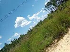 150 Kyle Staines Road, Baxley, GA 31513 - #3