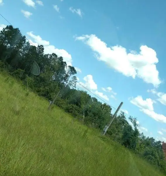 0 Rocky Road, Baxley, GA 31513 - #3