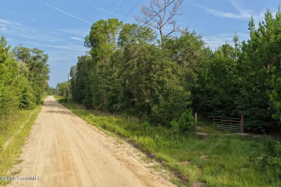 1 Ed Harrell Road, Hortense, GA 31543 - #2