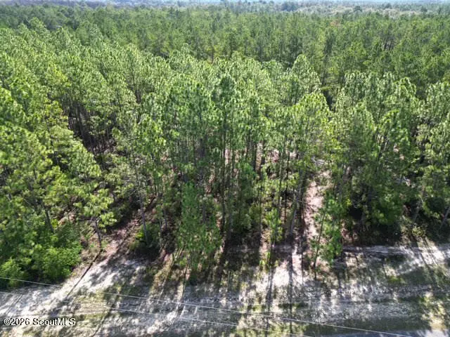 00 (lot 77) Heritage Circle #77, Hortense, GA 31543 - #1