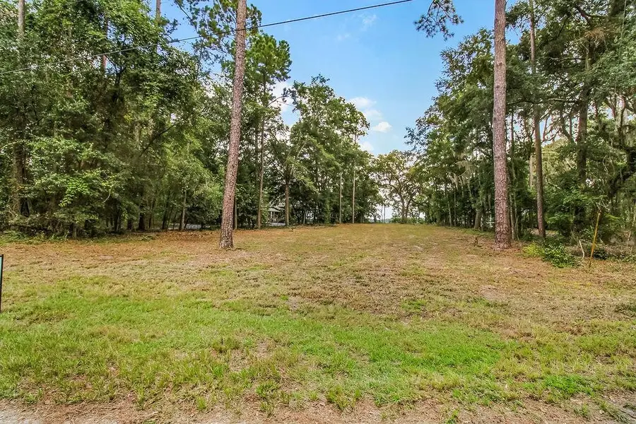 151 NE Julienton Drive Ne #151, Townsend, GA 31331 - #2