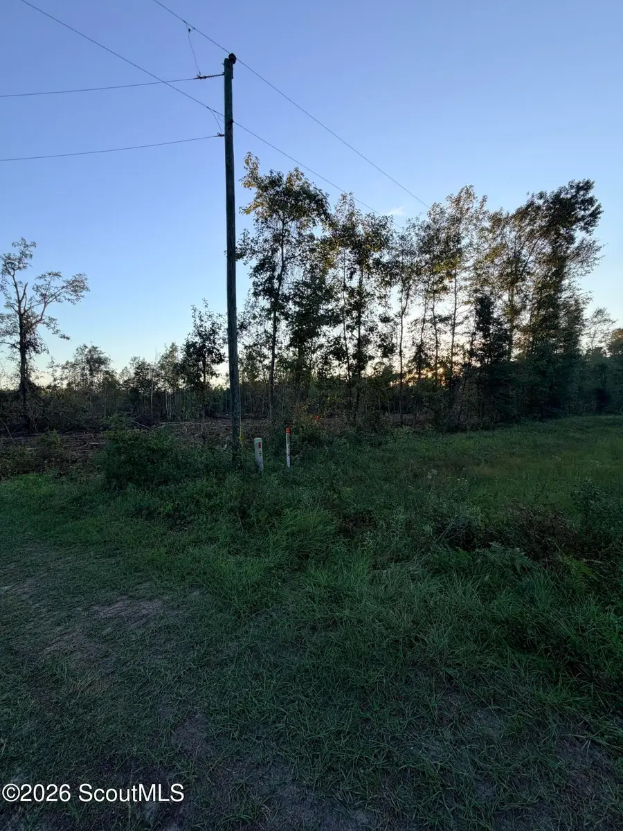0 Ga Hwy 251, Darien, GA 31305 - #3