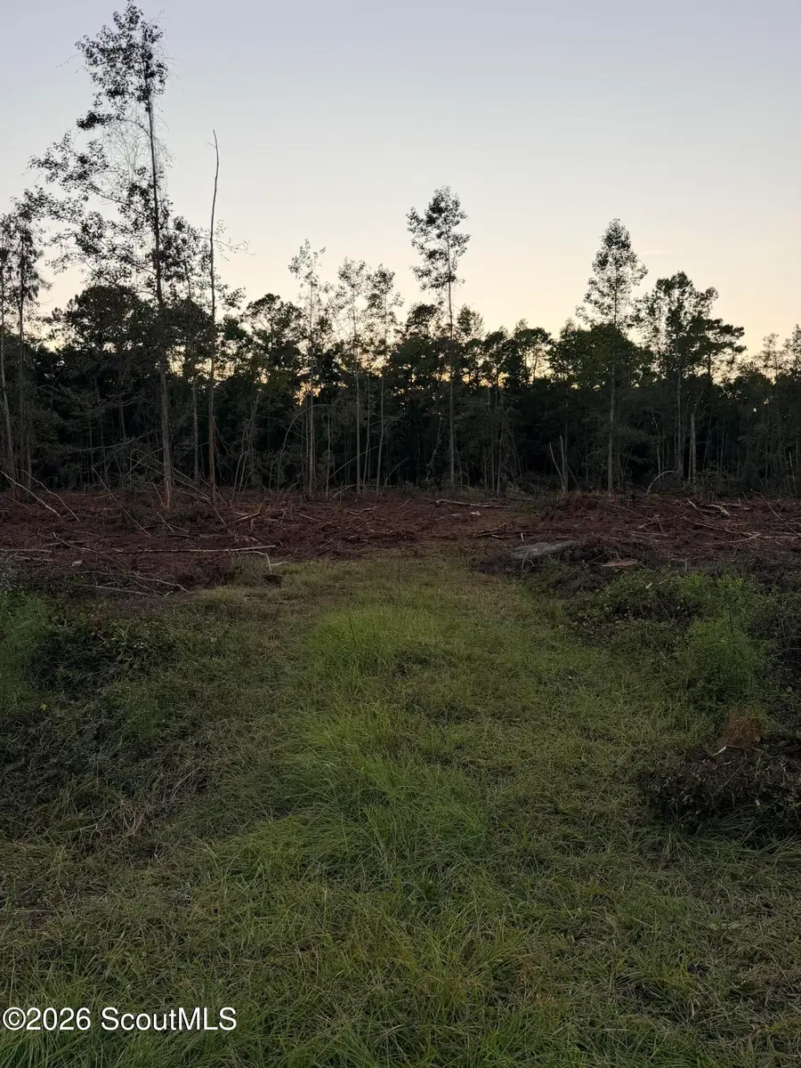 00 SW Ga Hwy 251 Road Sw, Darien, GA 31305 - #2