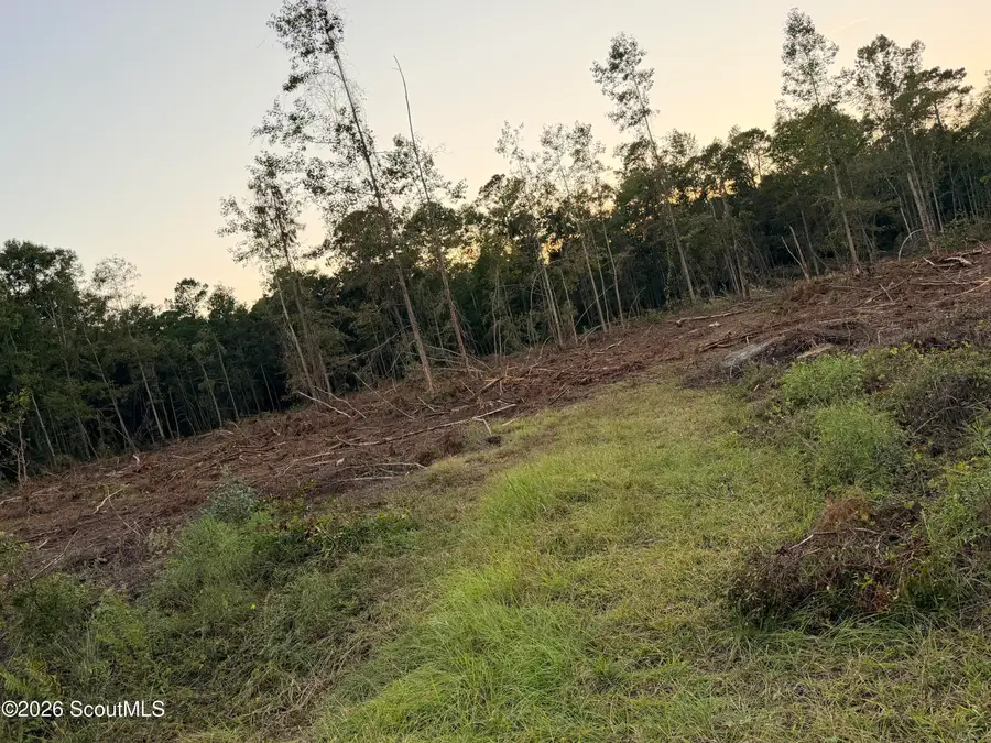 00 SW Ga Hwy 251 Road Sw, Darien, GA 31305 - #3