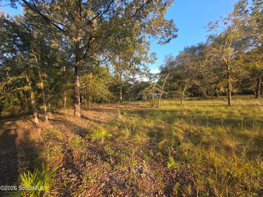 360 Matthews Circle, Nahunta, GA 31553 - #3