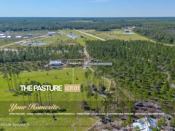 0 Hamp Chesser Road #Lot 1, Folkston, GA 31537
