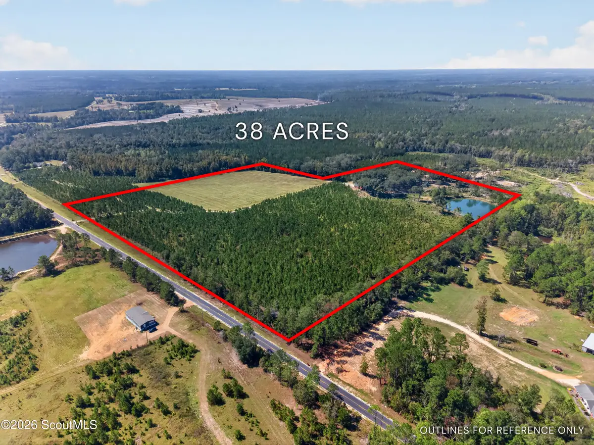 3999 Oscar Tippins Road, Baxley, GA 31513 - #1