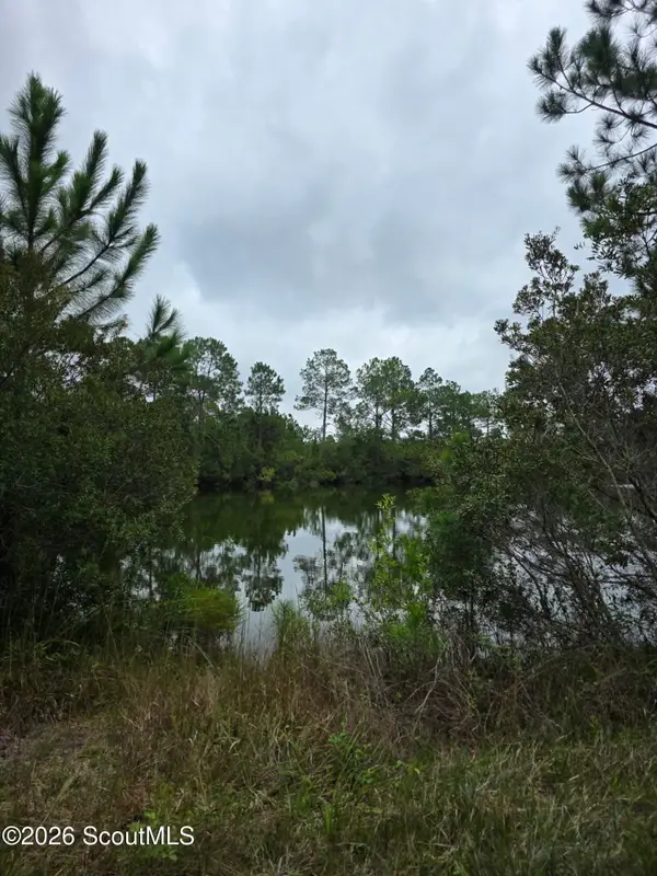 0 Carter Community Road, Folkston, GA 31537