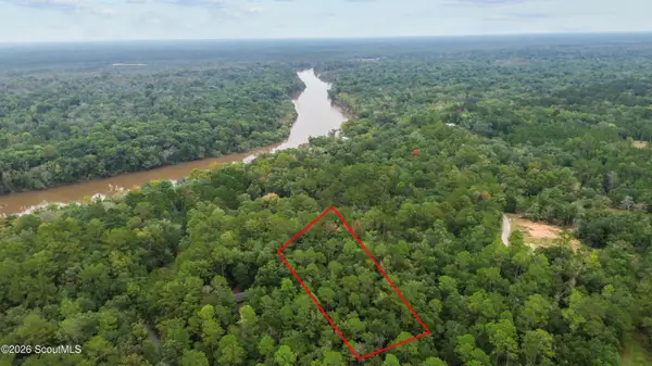 Lot 15 Moss Landing, Jesup, GA 31545