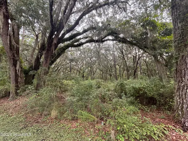 4 Carnochan Lane Se #Lot 4, Darien, GA 31305