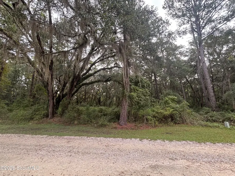4 Carnochan Lane Se #Lot 4, Darien, GA 31305 - #3