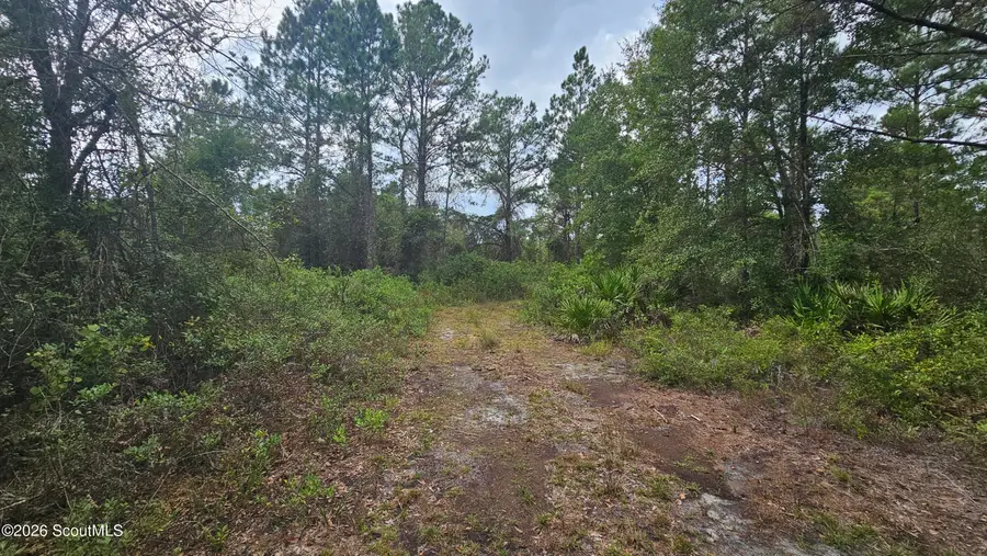 0 Tmberland Court, Waverly, GA 31565 - #2