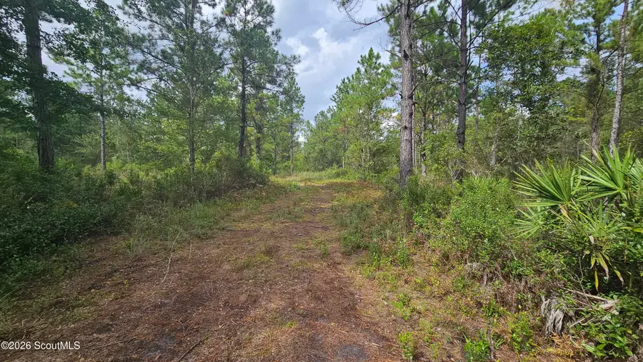 0 Tmberland Court, Waverly, GA 31565 - #3