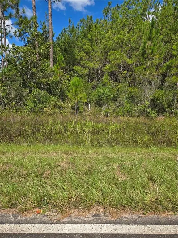 0 Swamp Road, Waycross, GA 31503 - #1