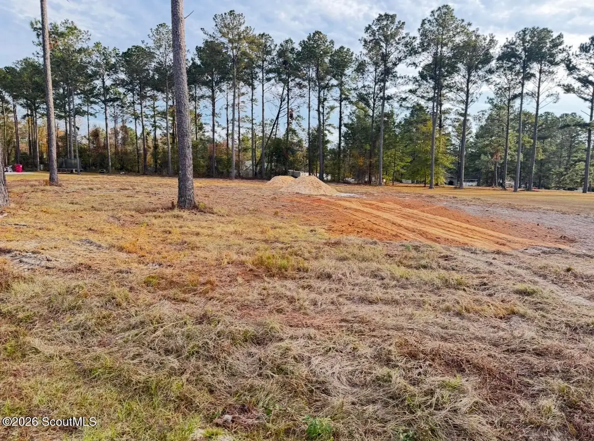 00 Mamies Drive #11, Blackshear, GA 31516 - #1