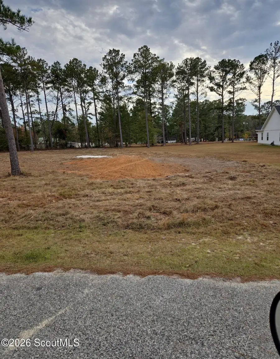 00 Mamies Drive #11, Blackshear, GA 31516 - #2